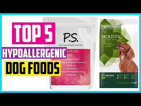 Vidéo: Meilleur aliment hypoallergénique pour chien: Top 5