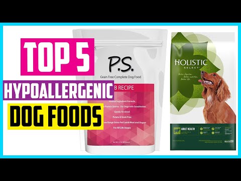 Top 5 Best Hypoallergenic Dog Foods In 2021  Buyer’s Guides