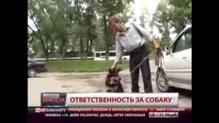 Ответственность за собаку Ответственность за собаку