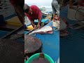 Watching the Master Butcher fillet a huge, fresh tuna smoothly #talon #fish #fypシ゚viral #fishcutting