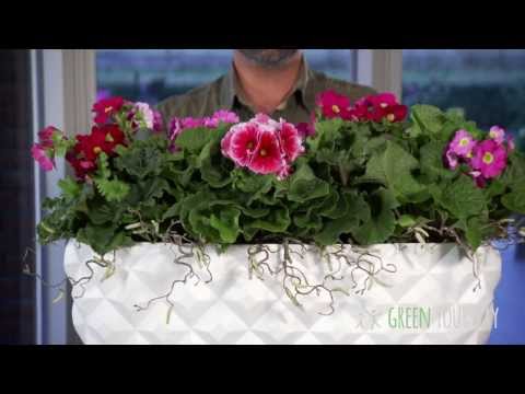 Video: Rek Voor Bloemen (81 Foto's): Vloer En Op De Vensterbank, Verlicht. Doe Het Zelf. Model Voor Balkon, Houten En Andere Voor Planten