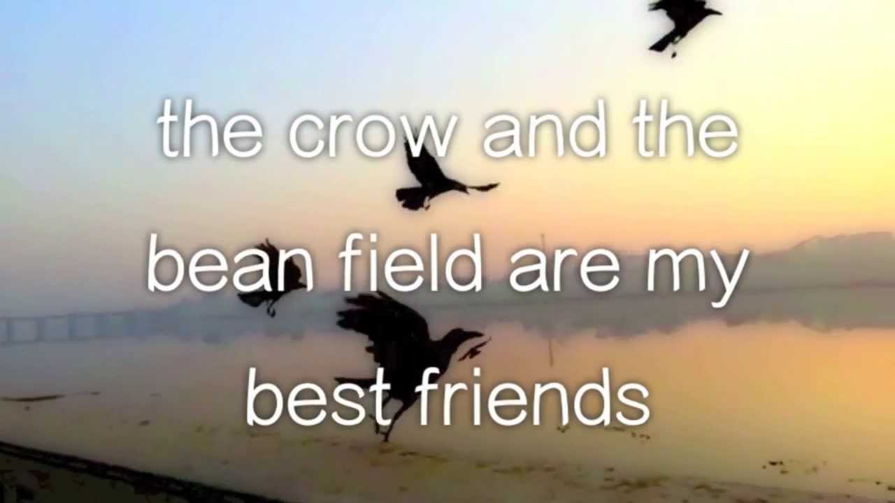 Download video klip owl city honey and the bee