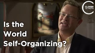 Niels Gregersen - Is the World Self-Organizing?