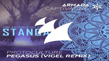 Protoculture & Vigel vs Sagi Abitbul & Guy Haliva - Pegasus vs Stanga (Armin van Buuren Mashup)