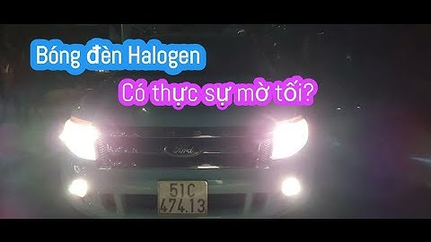 Bóng đèn ô tô halogen có thực sự mờ tối như lời đồn?