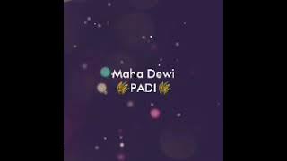 Maha Dewi (PADI) #padi #mahadewi #maha #dewi