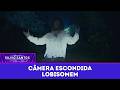 Werewolf Hidden Cameras 08 02 26