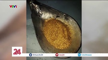 Thâm nhập công trường khai thác vàng trái phép | VTV24