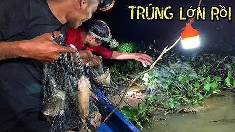Thả Lưới Trúng Bầy Cá Mè Vinh Nát Luôn Tay Lưới