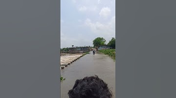 #viral #shorts #trending #ytshorts #yttrending #reels #video #river #overflow #rain #subscribe #love