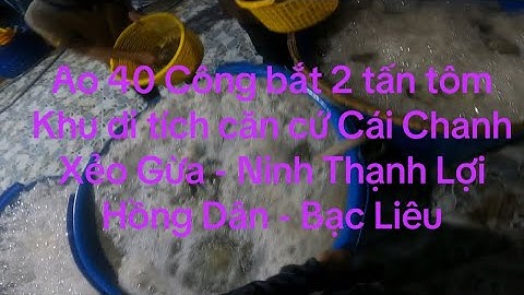 Ao 40 công bắt 2 tấn tôm càng Gần khu di tích căn cứ Cái Chanh - Ninh Thạnh Lợi - Hồng Dân -Bạc Liêu