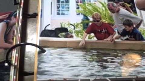 Mini Book May Week 4