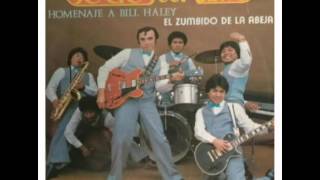 Video thumbnail of "LOS SOCIOS del RITMO  Homenaje a Bill Halley"