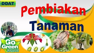 Breeding Plant seeds for seeds - agricultural plant breeding I Nursery Breeding Plant seeds for seeds - agricultural plant breeding I Nursery