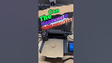Wood Test | Elegoo Neptune 4 ,can it print?