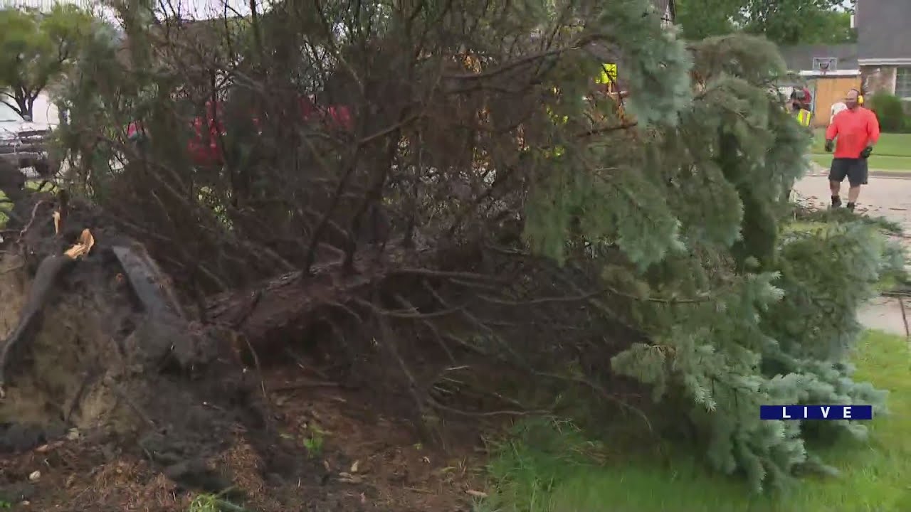Severe weather causes downed trees, power outages throughout area - YouTube