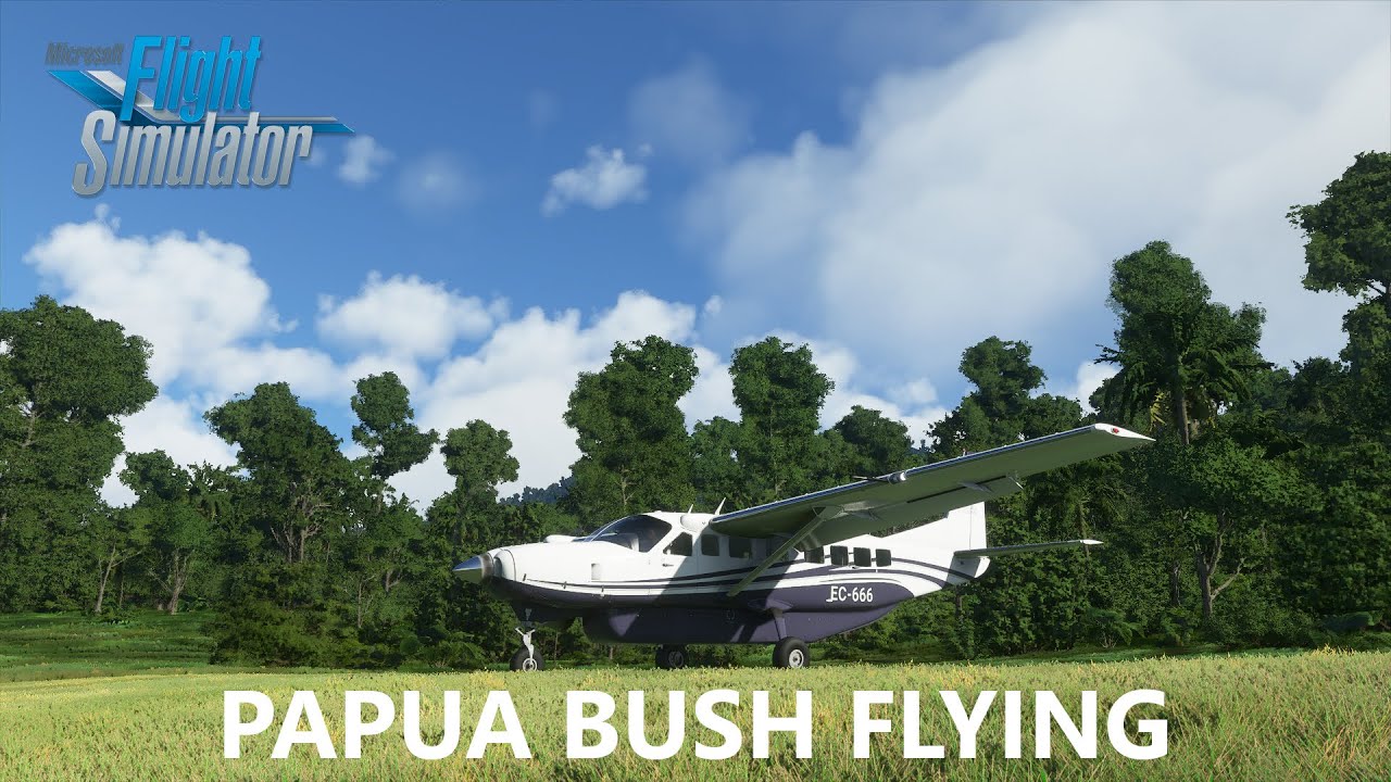 Microsoft Flight Simulator - Papua bush flying - YouTube