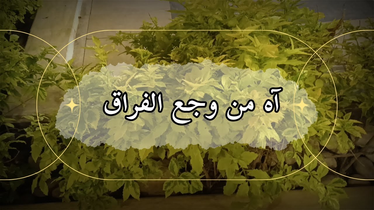 آآه من وجع الفراق 💔🥀#لايك - YouTube