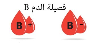 فصيلة الدم B سالب و موجب