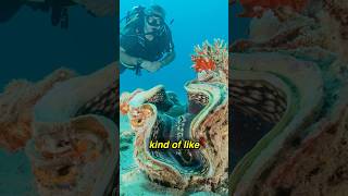 Giant man-eating clams? #science