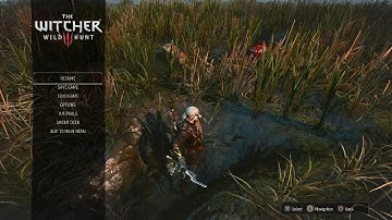 The Witcher 3: Soft lock location