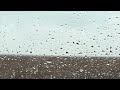 The sound of raindrops hitting the car window mp3