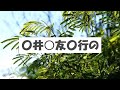 うごいた