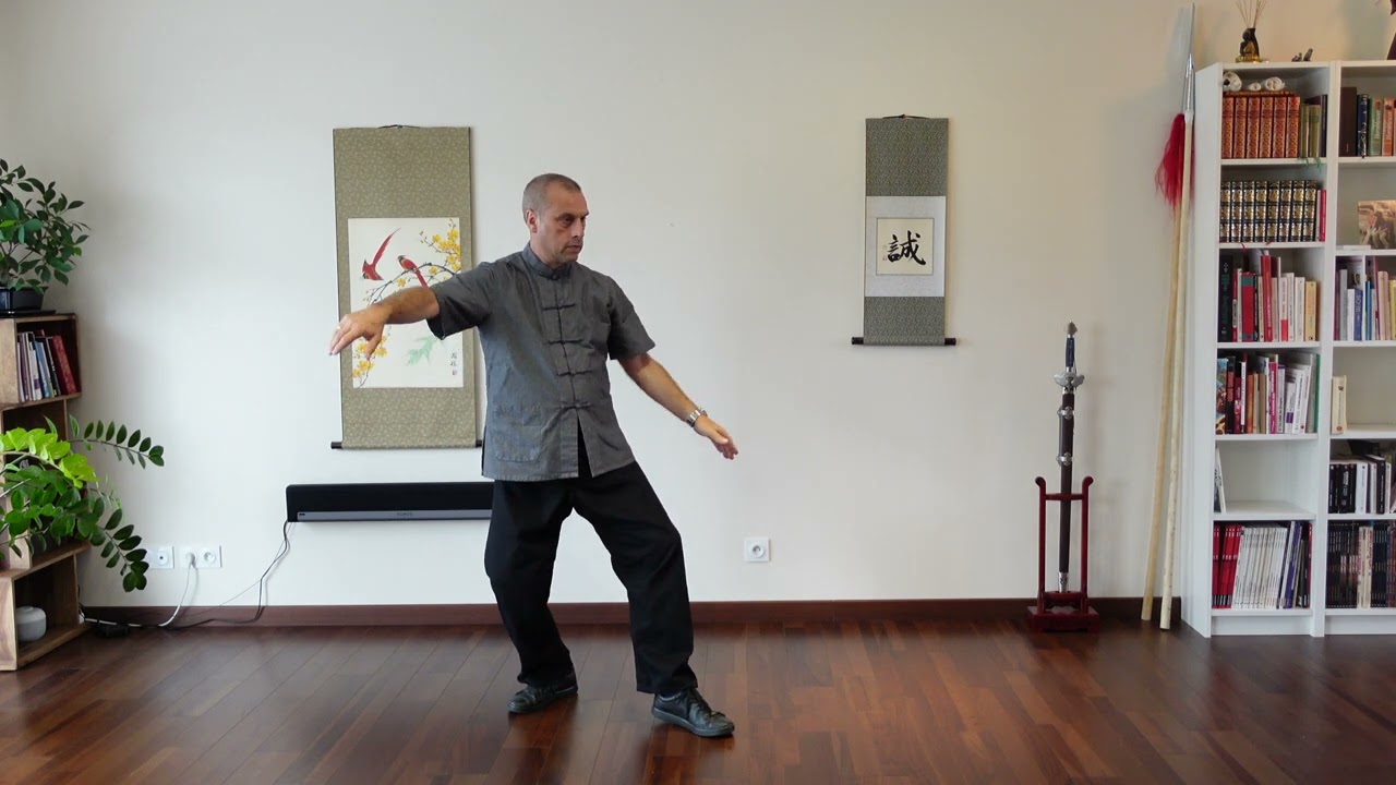 Mouvement 7 - Tourner et parer, saisir la queue de l'oiseau, fermeture apparente