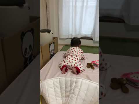▪️Rin マットレスから降りたら上がって来れない　元気いっぱい赤ちゃん生後5ヵ月14th