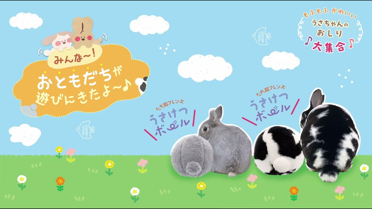 ドギーマンハヤシ 株式会社 | メーカー | うさフェスタ春2025