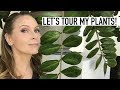 HOUSE PLANT TOUR 2019 | Design Time