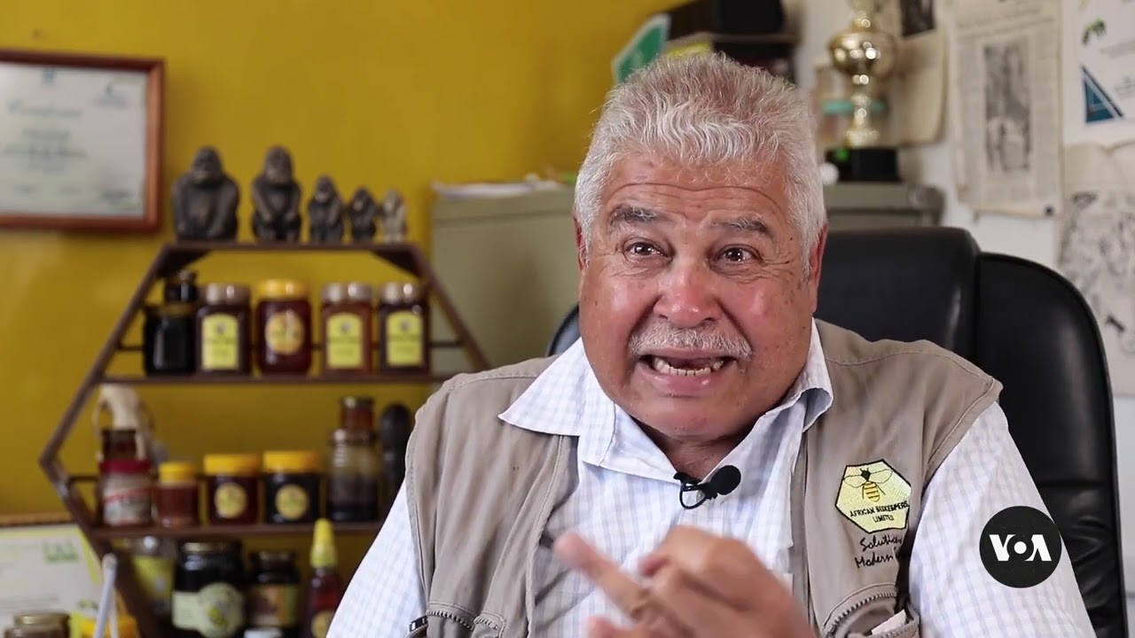 Kenya’s Dryland Communities Turn to Beekeeping for Survival 🐝🌍