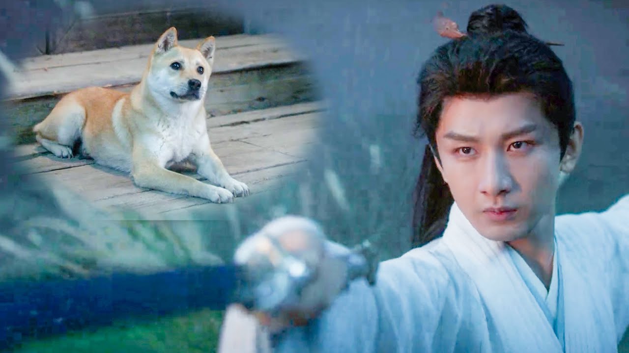 李蓮花揮出驚鴻一劍，全場無人發現，除了身旁的「狐狸精」！#蓮花樓 #成毅