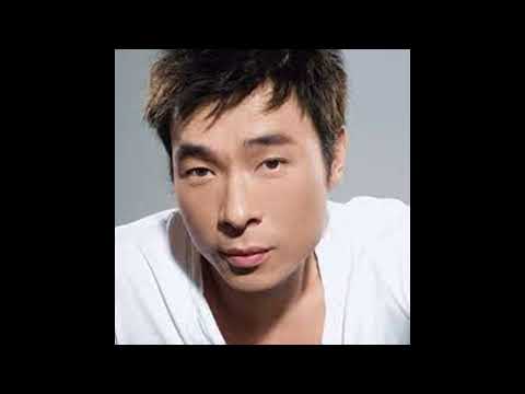 許志安 - 真心真意