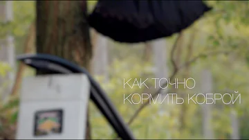 Как кормить коброй?