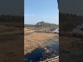 Гановерское море…. Интересно #nature #germany #hannover
