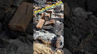 bird saund #birds #animals #post #viralvideo #reels #youtubeshorts #funny #tranding #short