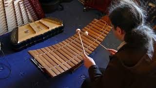 My Instruments The Roneat Ek