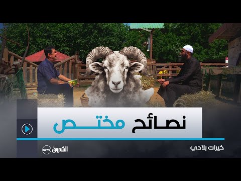 خيرات بلادي نصائح وإرشادات مختص بخصوص عيد الأضحى
