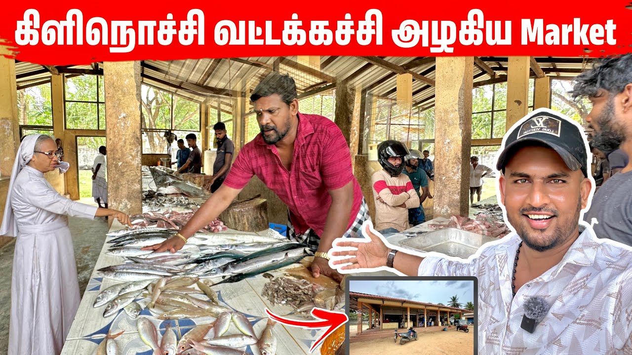 வன்னி அழகிய கிராமம் அன்பான மக்கள் | Kilinochchi Vaddakkachchi Market Tour 