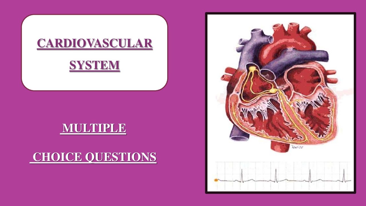 Cardiovascular System multiple choice questions / MCQ on Heart