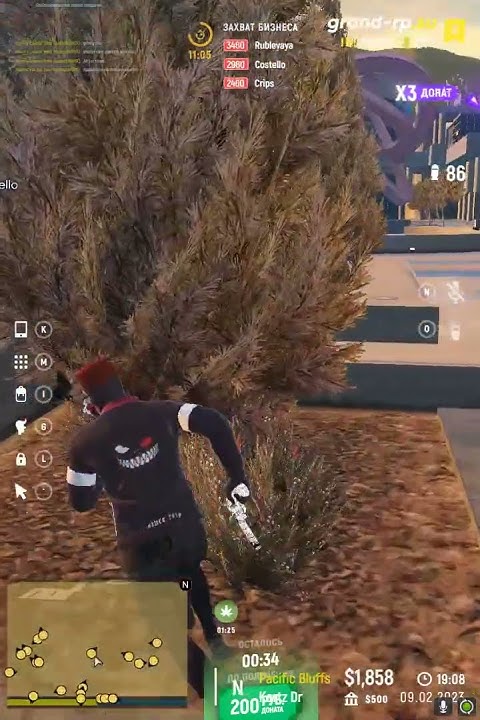 www.youtube.com