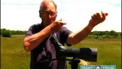 How to Use a Telescope for Bird Watching