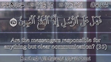 عبد الولي الأركاني - سورة النحل | Abdulwali Al-Arkani - Surah An-Nahl