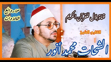الشيخ الشحات محمد أنور وما تيسر من سورة الأعلى وقصار السور