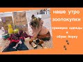 НАШЕ УТРО / ЗООПОКУПКИ / ОДЕЖДА И ОБУВЬ ДЛЯ ЙОРКА