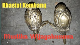 Khasiat Mustika Kembang Wijayakusuma