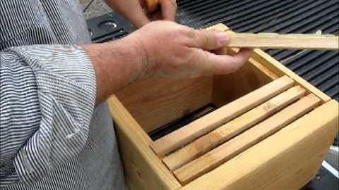 Warre Top Bar Installation, an easier way