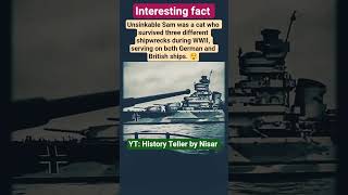 A Cat Served on Both Sides of WWII? 🐈😲 #shorts #history #wwii #cat #facts #war #shipwreckhistory