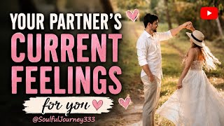 Your💝Partner's Current Feelings For You #tarot #timeless #nocontact #lovereading @SoulfulJourney333